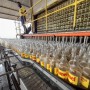 Cachaça Jamel contribui para compensação de mais de 6.200 toneladas de materiais recicláveis em fevereiro